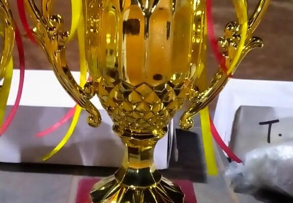 T-20 Winner Cup